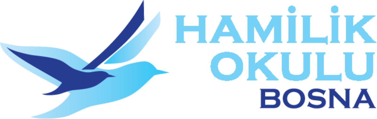 Hamilik Okulu Bosna